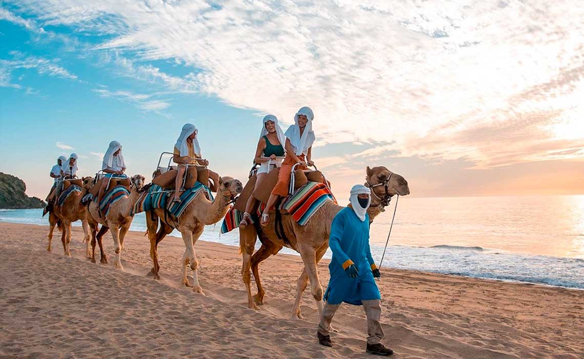 paquetes turisticos a baja califormia sur desde costa rica